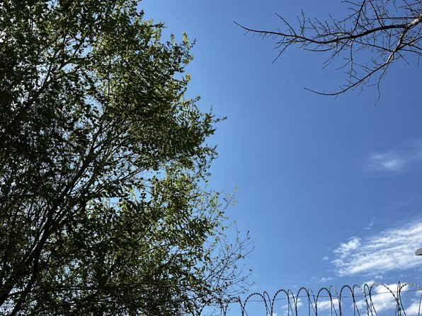 沙明属于从小身高高大，速度快，但技术很一般的，潜力挺大的