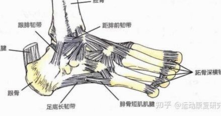跟队揭秘克洛普：媒体让其筋疲力尽，但他不想给奇怪的回答