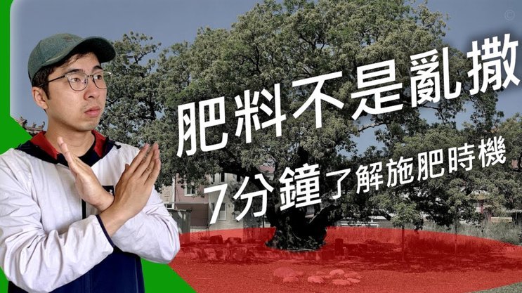 董路采访说9年花了5800万？钱都花到哪里了？