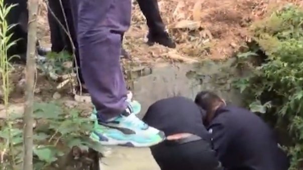 解围足球12岁乱杀，长大了被人当狗遛