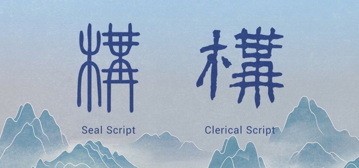 看录像学技术为何常走样？警惕动作代偿陷阱